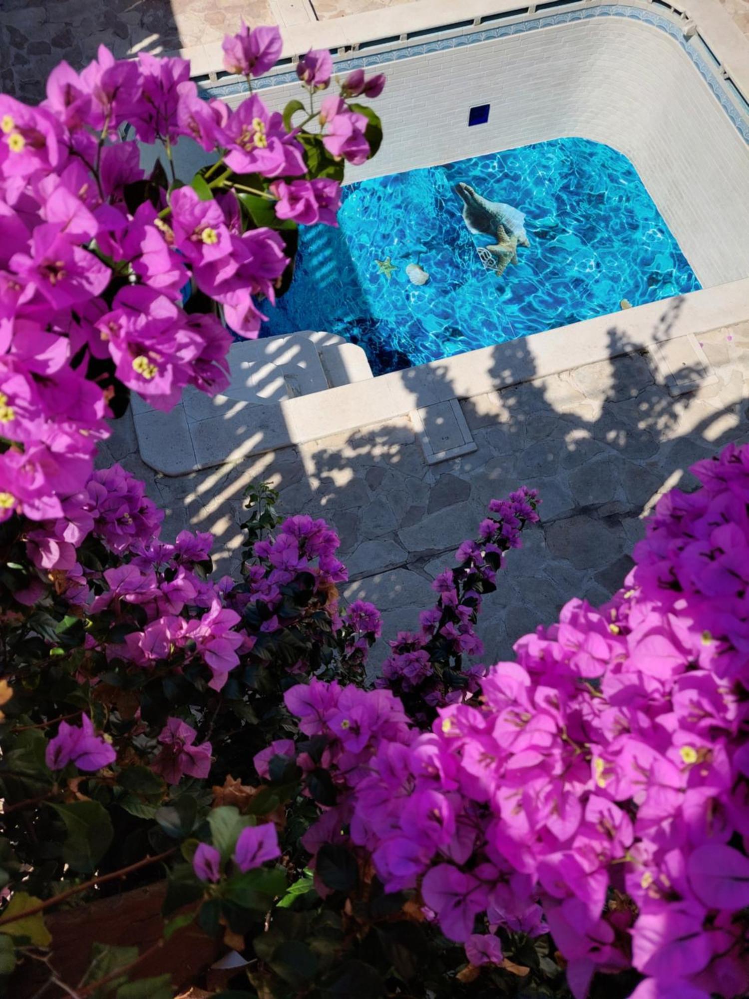 Studios Villa Romantica Zadar Exterior photo